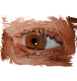 fotodesign